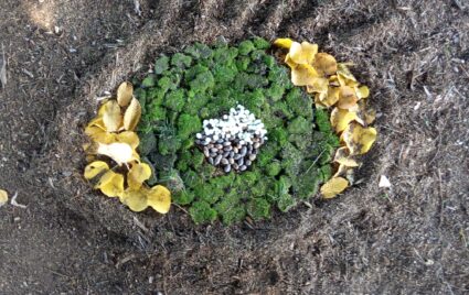 LAND ART