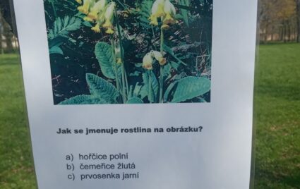 Den Země