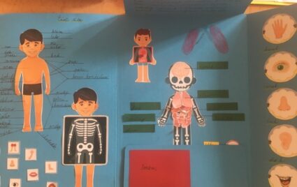 Tvorba lapbooků v 2. A