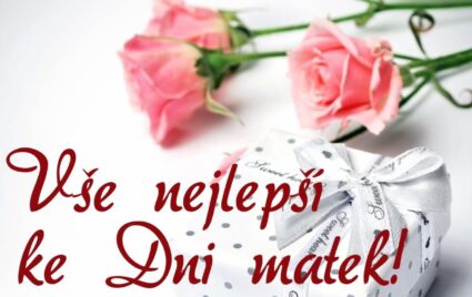 DEN MATEK VE 3. ODDĚLENÍ ŠD