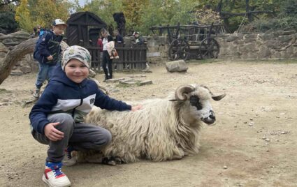VÝLETNÍČEK – TENTOKRÁT V BRNĚ